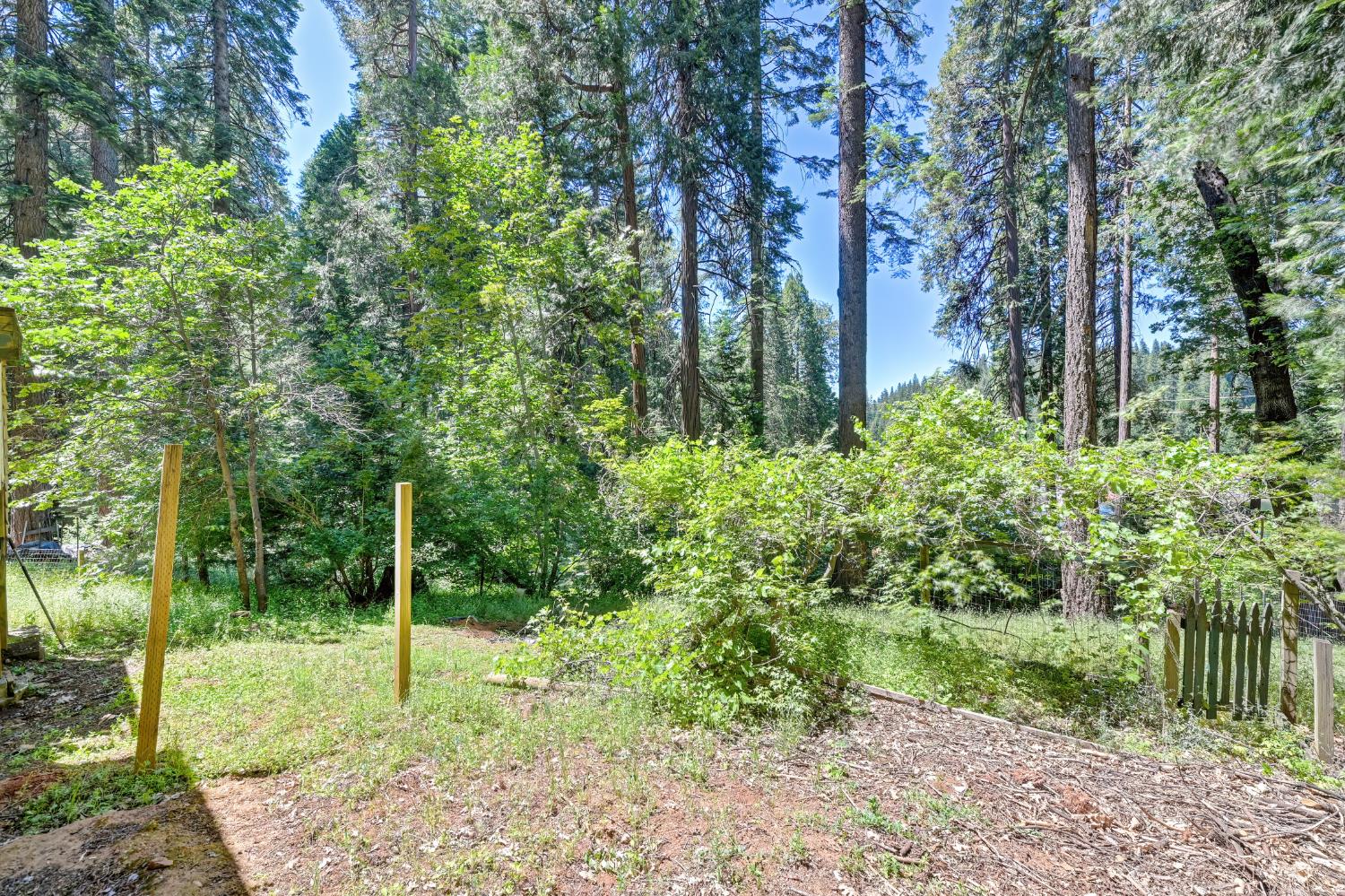 6237 Drop Off Road Pollock Pines, CA 95726 - Photo 4 of 67