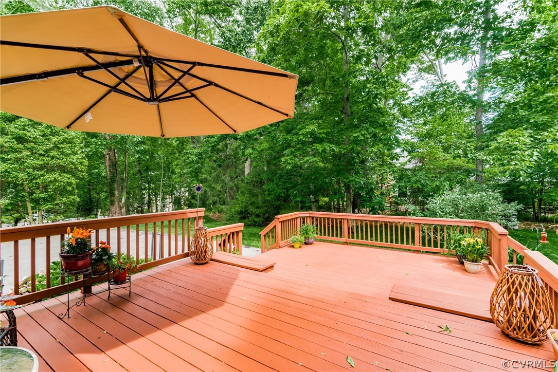 13908 Beechwood Point Road Midlothian, VA 23112 - Photo 45 of 47 Gallery Image 45