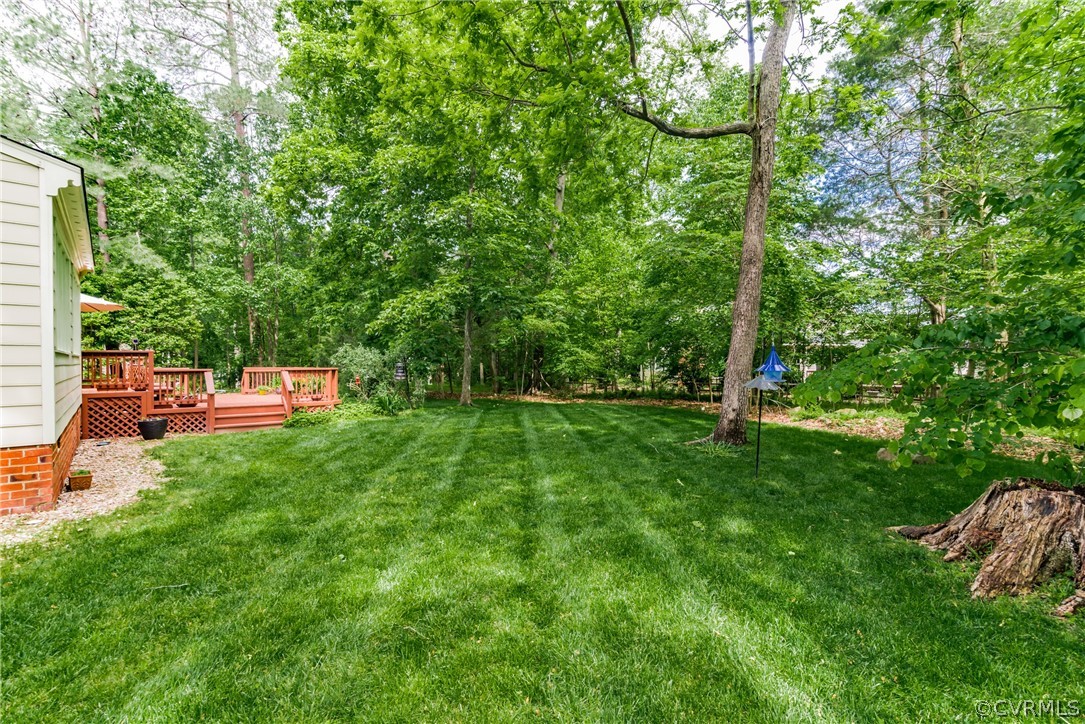 13908 Beechwood Point Road Midlothian, VA 23112 - Photo 46 of 47 Gallery Image 46