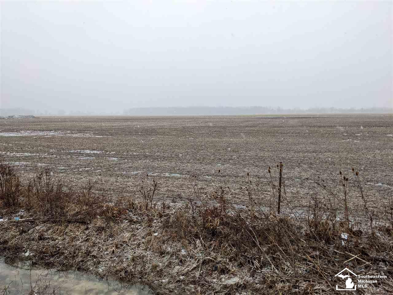 446 North Raisinville Road Monroe, MI 48162 - Photo 3 of 12