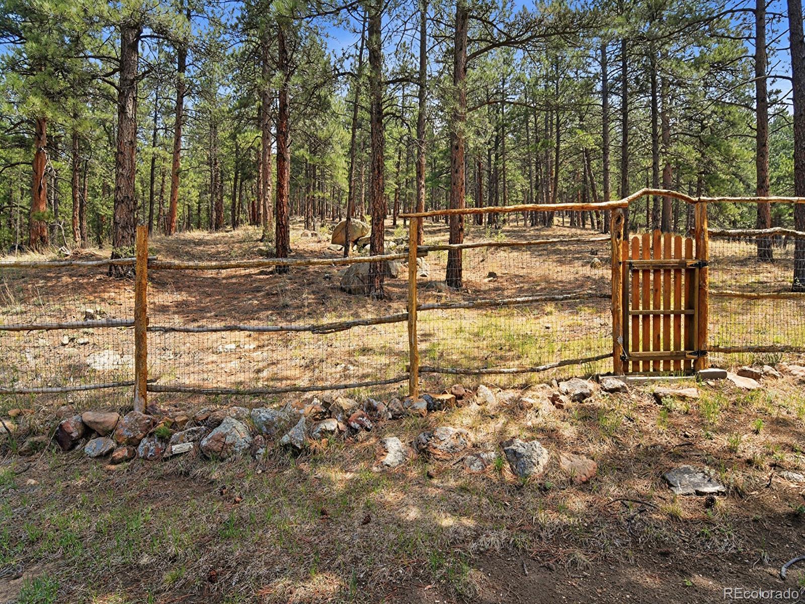 2830 Kerr Gulch Road Evergreen, CO 80439 - Photo 33 of 48 a view of a yard with large trees