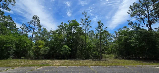 $9,400 | Lot 18 Lot Circle, Chipley, FL 32428