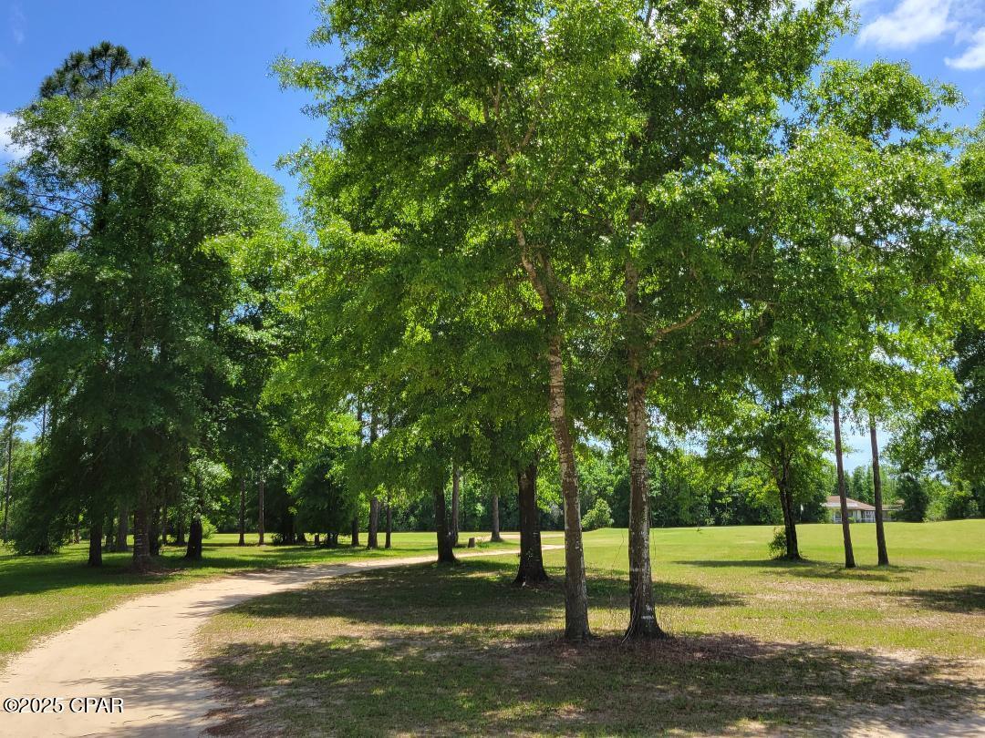 Lot 18 Lot Circle Chipley, FL 32428 - Photo 11 of 15