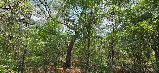 $9,400 | Lot 18 Lot Circle, Chipley, FL 32428