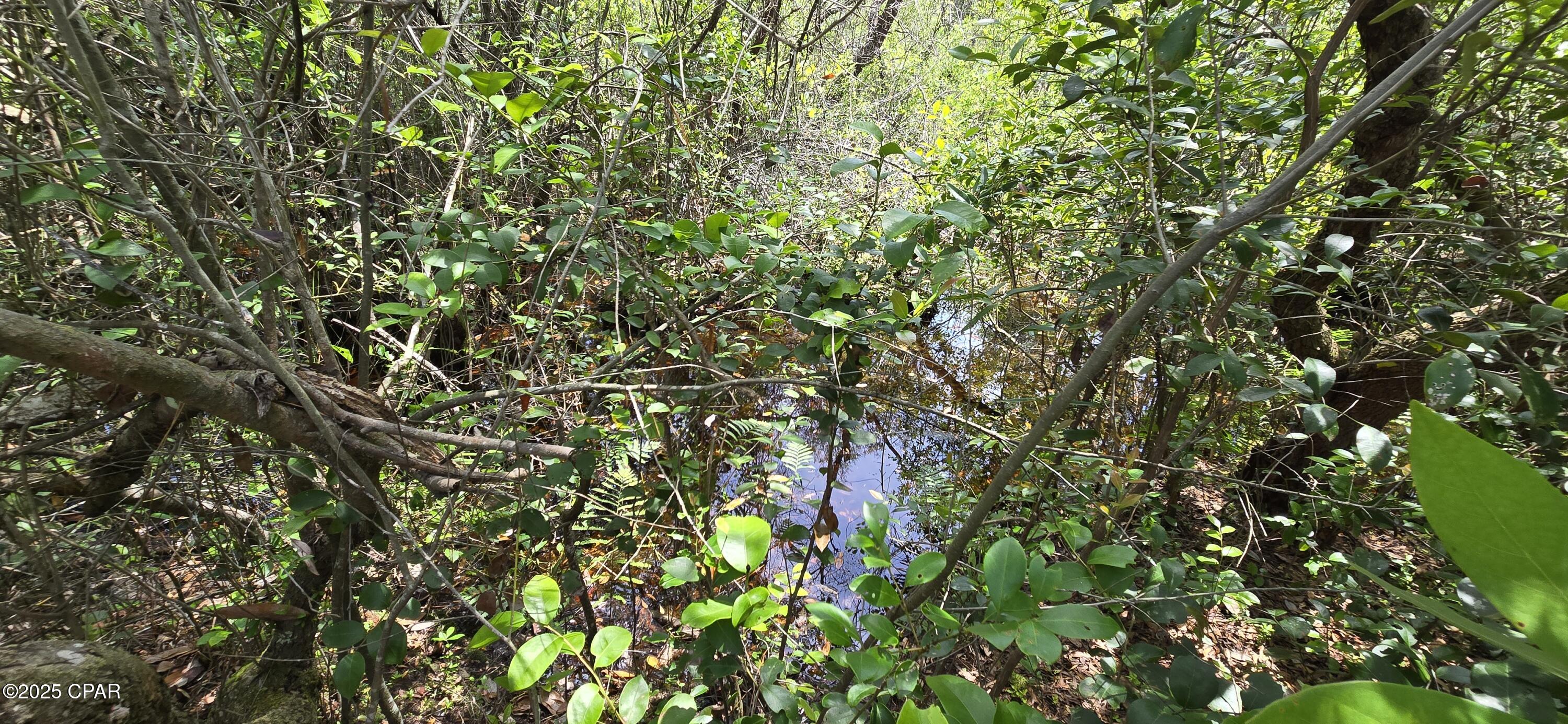 Lot 18 Lot Circle Chipley, FL 32428 - Photo 7 of 15