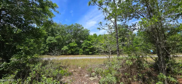 $9,400 | Lot 18 Lot Circle, Chipley, FL 32428