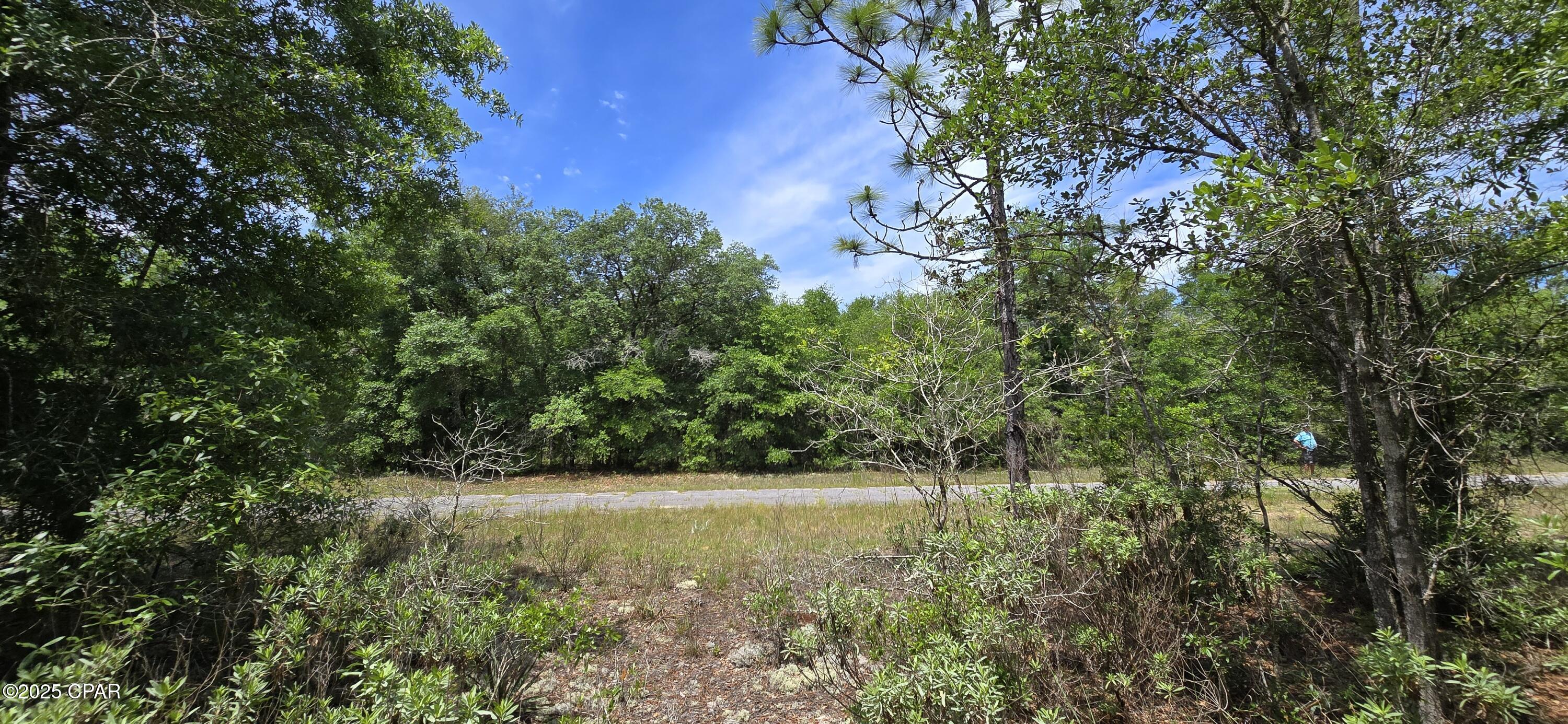 Lot 18 Lot Circle Chipley, FL 32428 - Photo 8 of 15