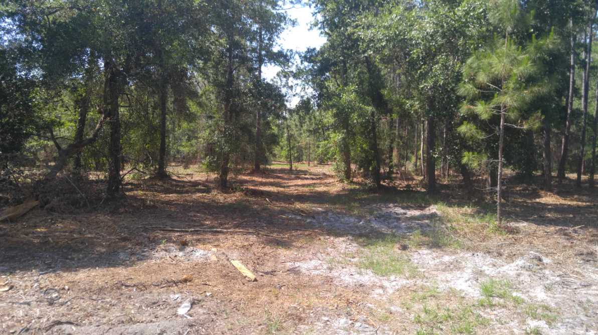 119 Kendrick Road Carrabelle, FL 32322 - Photo 11 of 13 Gallery Image 11