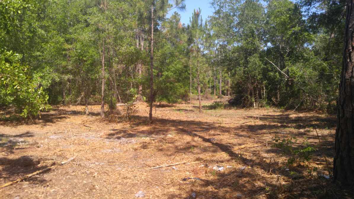 119 Kendrick Road Carrabelle, FL 32322 - Photo 12 of 13 Gallery Image 12
