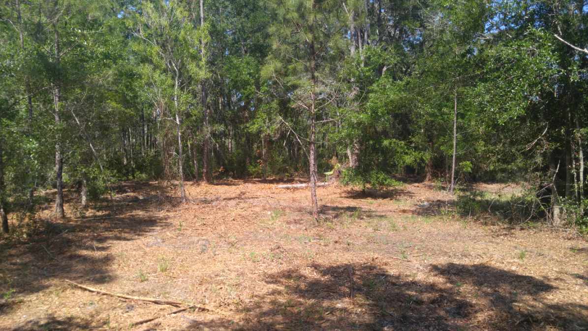 119 Kendrick Road Carrabelle, FL 32322 - Photo 13 of 13 Gallery Image 13