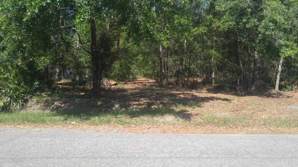 119 Kendrick Road Carrabelle, FL 32322 - Photo 2 of 13 Gallery Image 2