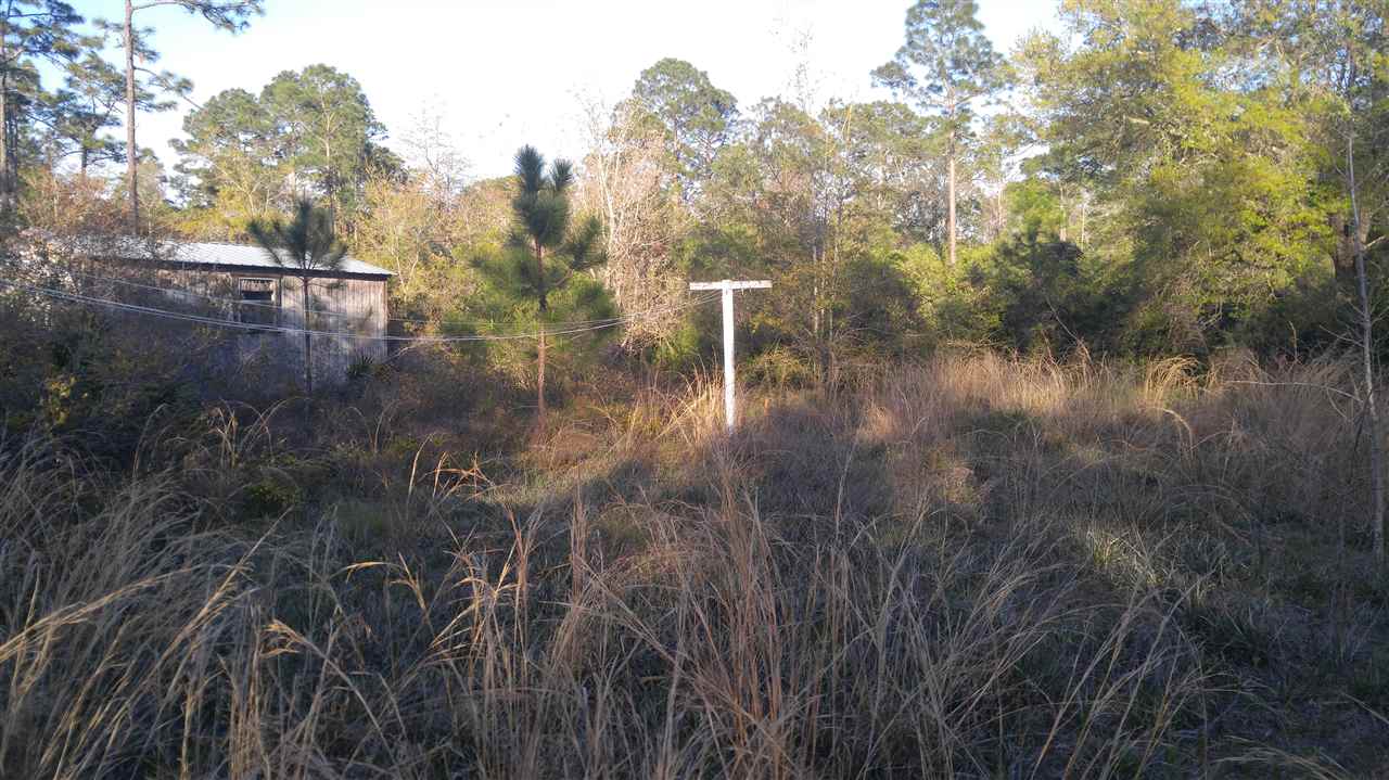 119 Kendrick Road Carrabelle, FL 32322 - Photo 7 of 13 Gallery Image 7