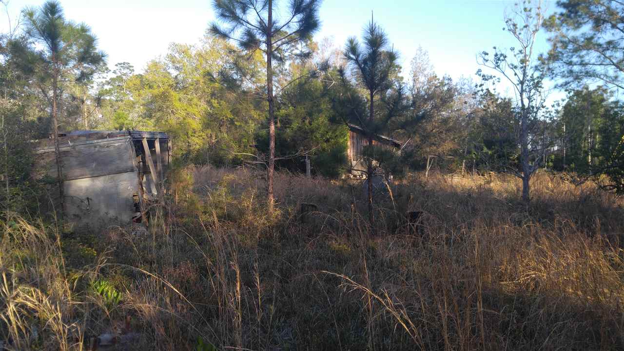 119 Kendrick Road Carrabelle, FL 32322 - Photo 8 of 13 Gallery Image 8