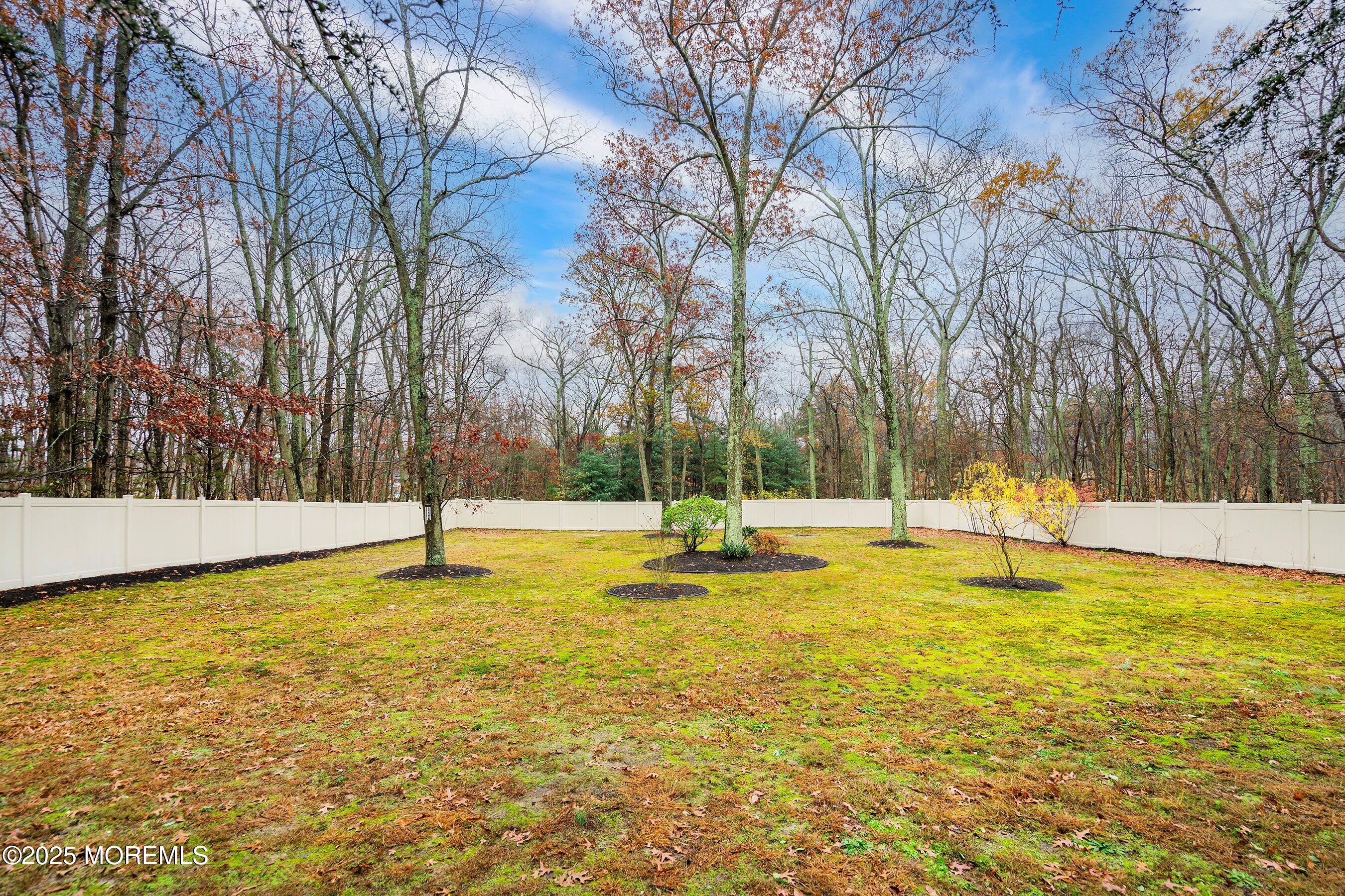 901 Bethel Church Road Jackson, NJ 08527 - Photo 9 of 46 Backyard