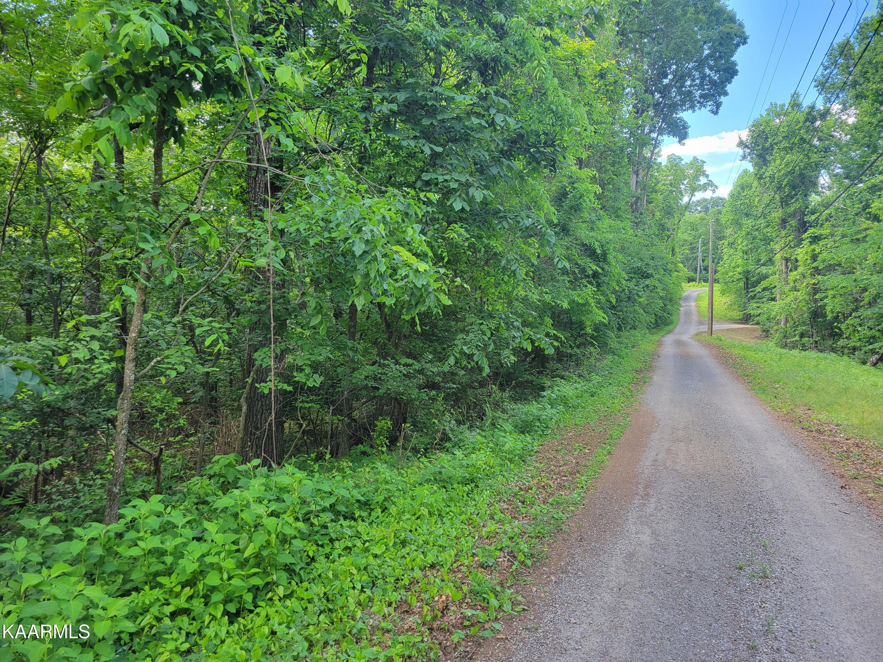 Flat Gap Road Jefferson City, TN 37760 - Photo 14 of 18 14