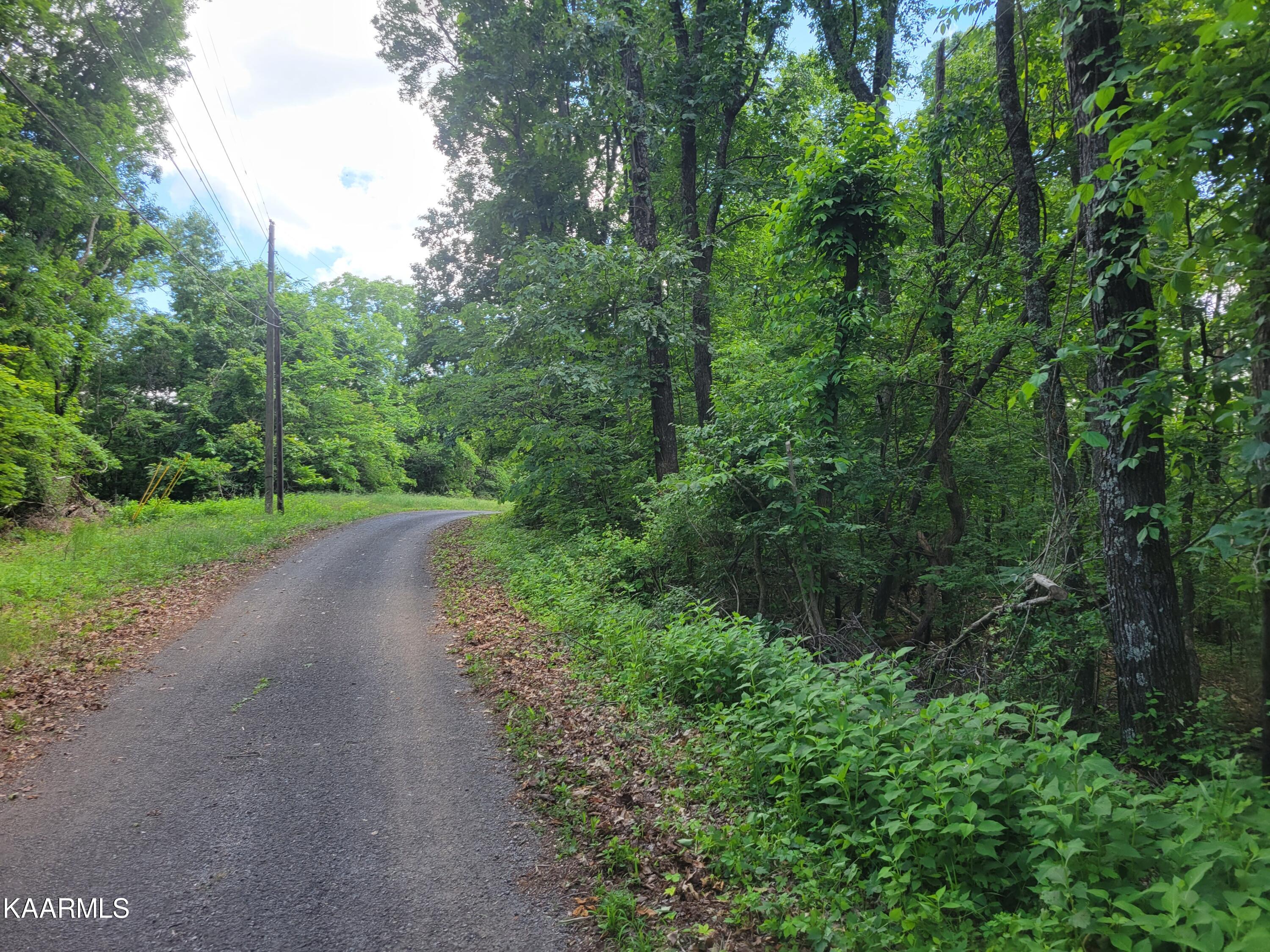 Flat Gap Road Jefferson City, TN 37760 - Photo 15 of 18 15