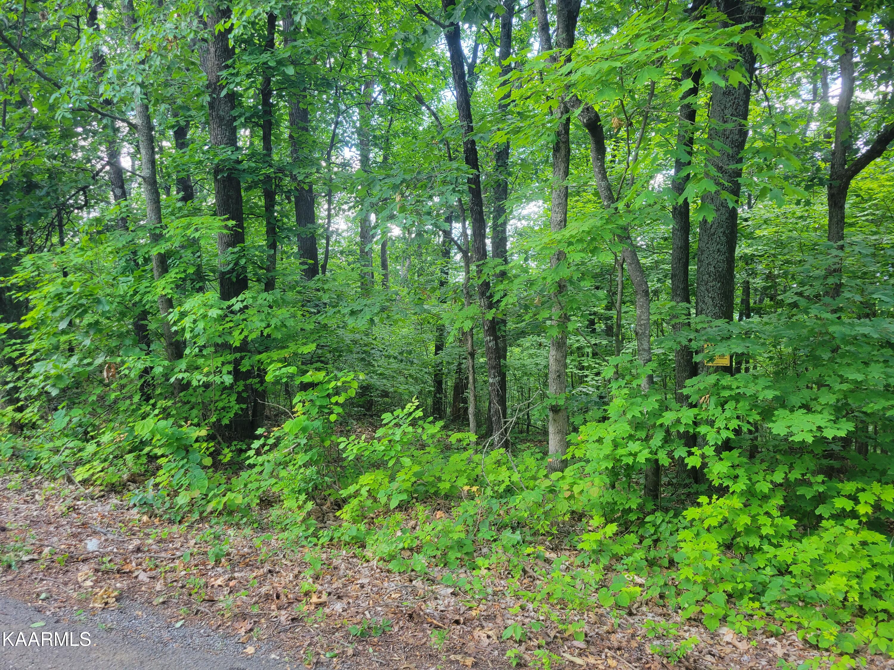 Flat Gap Road Jefferson City, TN 37760 - Photo 6 of 18 6