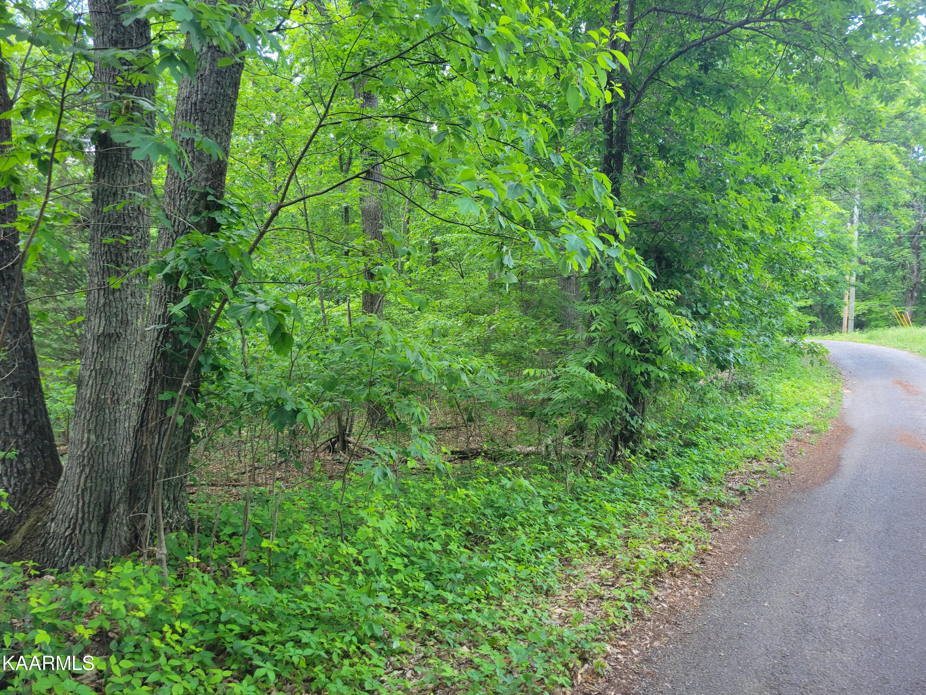 Flat Gap Road Jefferson City, TN 37760 - Photo 8 of 18 8