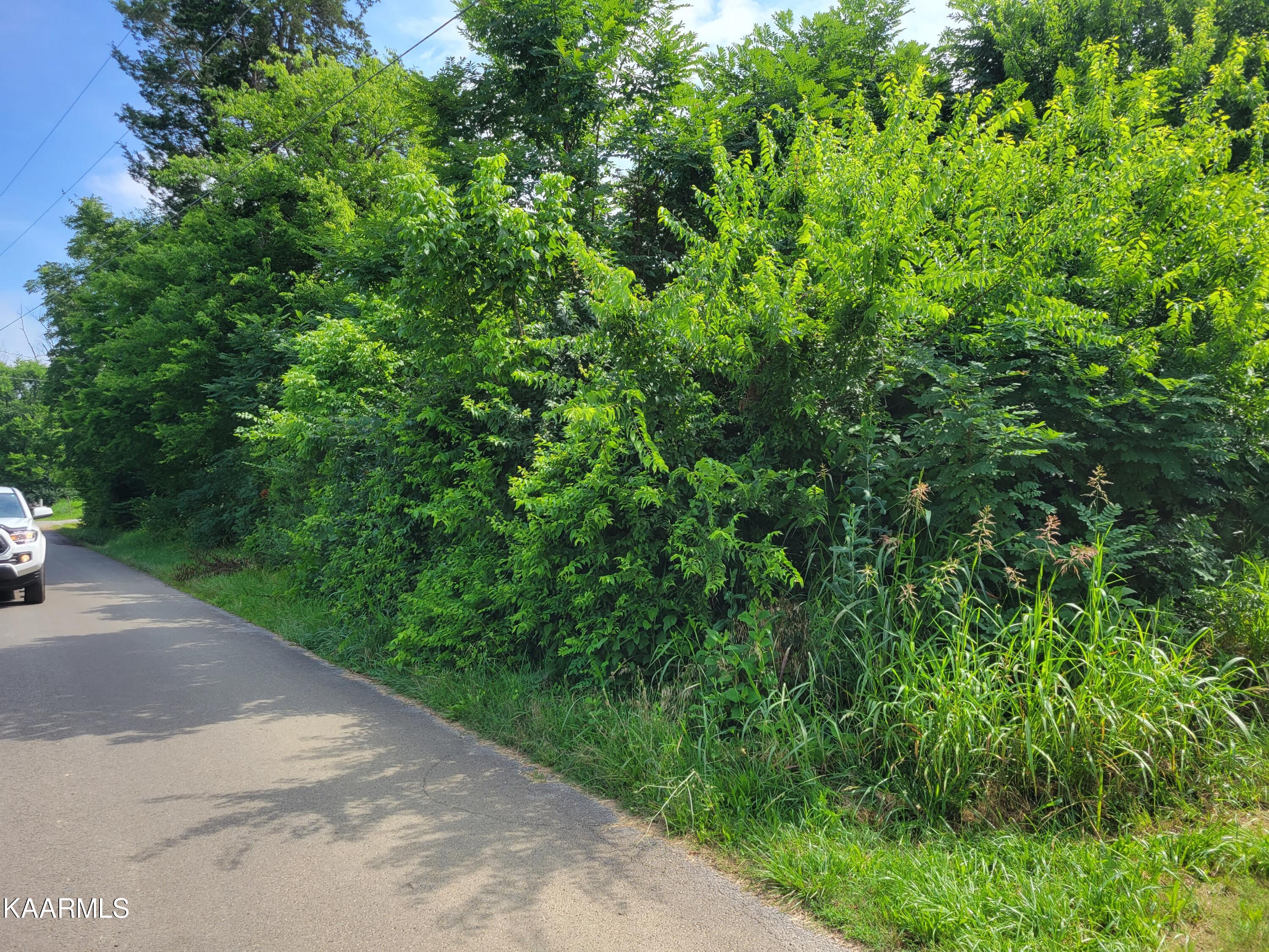 Flat Gap Road Jefferson City, TN 37760 - Photo 10 of 18 Easement area 2