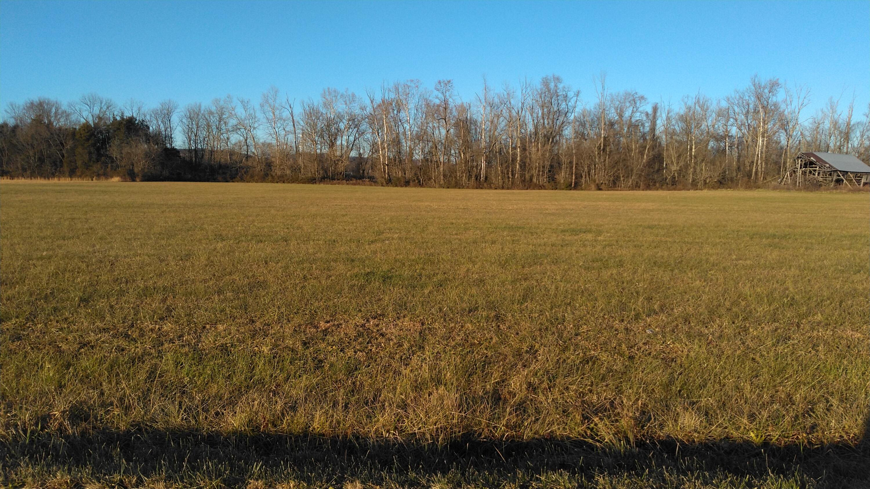 Tbd Weems Chapel Road, Unit 2 Mosheim, TN 37818 - Photo 3 of 5 Weems Chapel Rd C