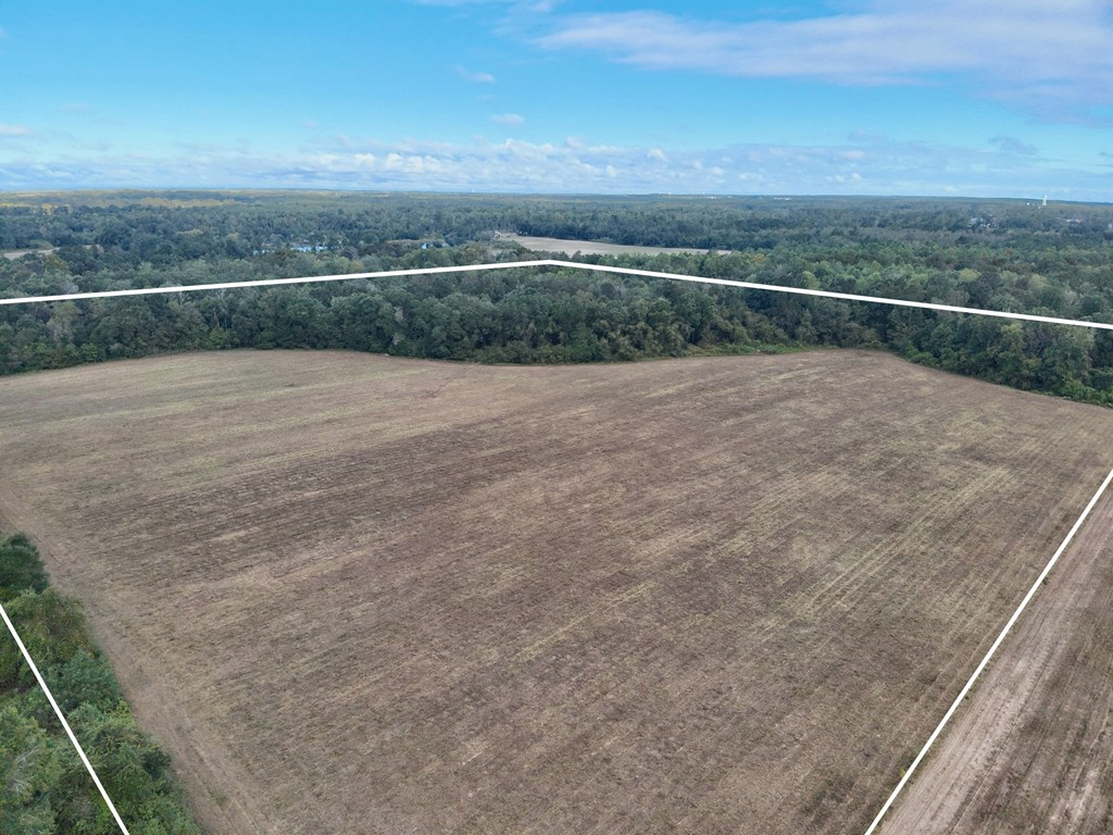 49-acres Mt Zion Road Gordon, AL 36343 - Photo 8 of 21
