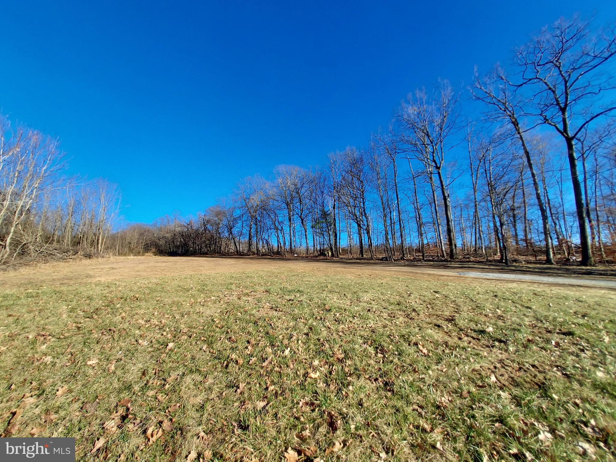 995 Bingaman Road Orrtanna, PA 17353 - Photo 7 of 37 Mostly clear and level acreage