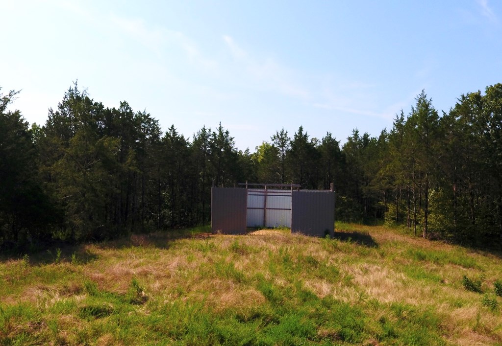 79 Felkel Landing Road Iva, SC 29655 - Photo 3 of 18 Gallery Image 3
