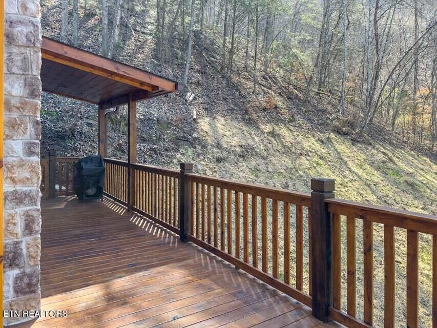 1727 Pulaski Lane Sevierville, TN 37862 - Photo 42 of 53 43