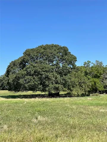 a view of a green field