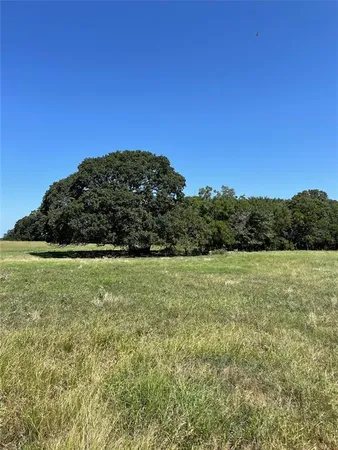 a view of a field