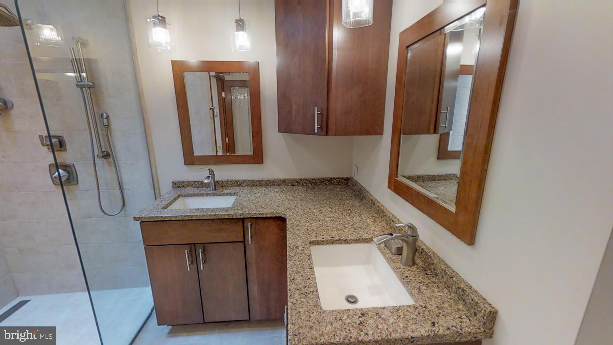 3909 Basford Road Frederick, MD 21703 - Photo 14 of 30 Bath (Master)