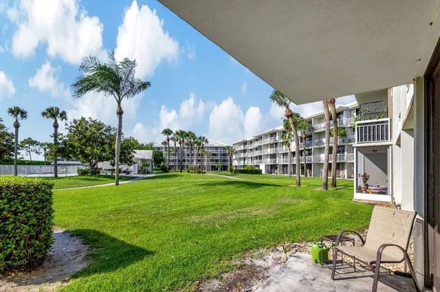 a view of a swimming pool with a garden and plants