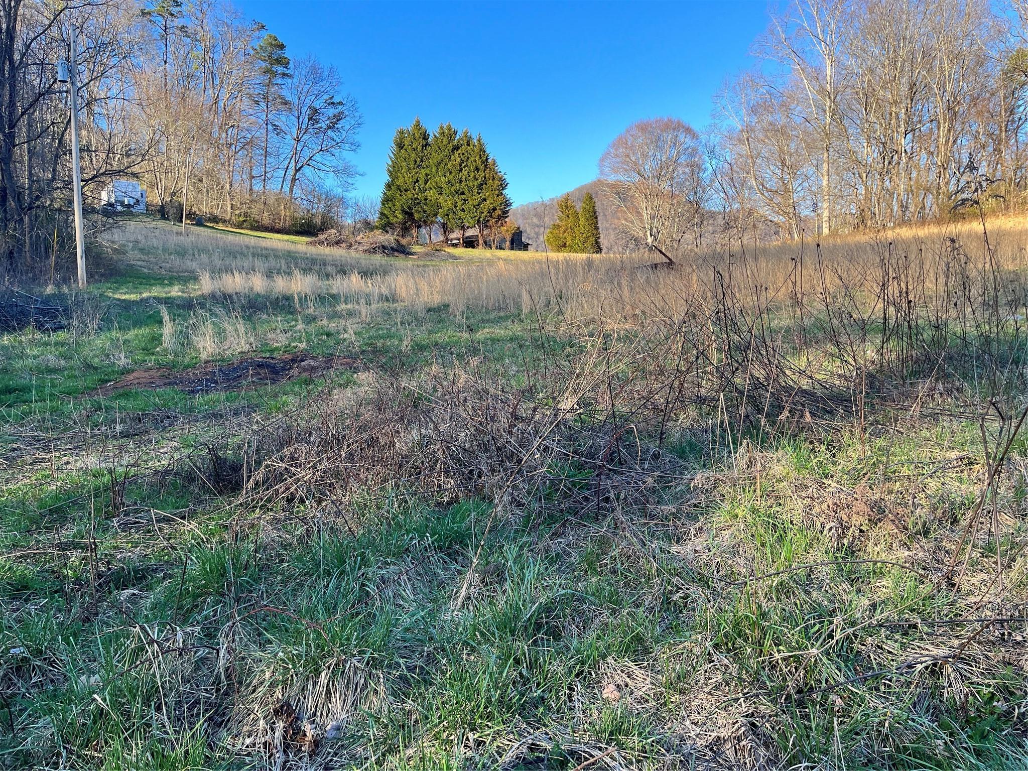 172 Rice Cove Road Canton, NC 28716 - Photo 35 of 36 a view of a yard in front of a house
