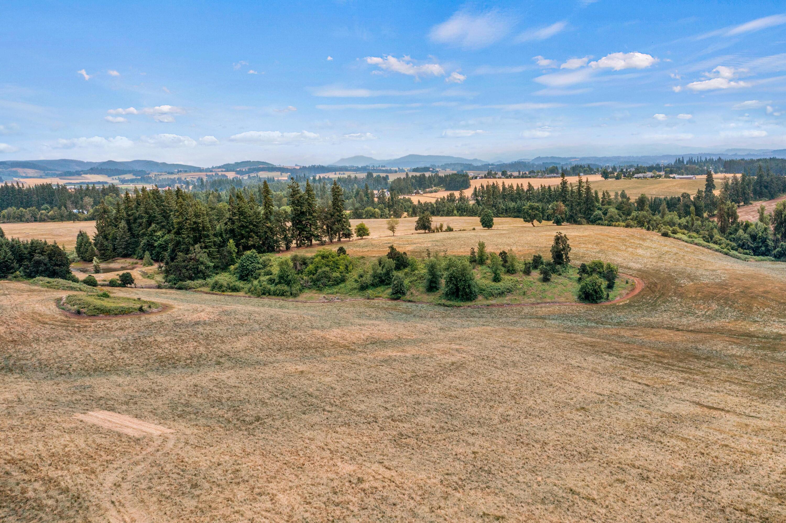 Anderson Road Northeast, Unit 100 Sublimity, OR 97385 - Photo 12 of 24 11DJI_0304