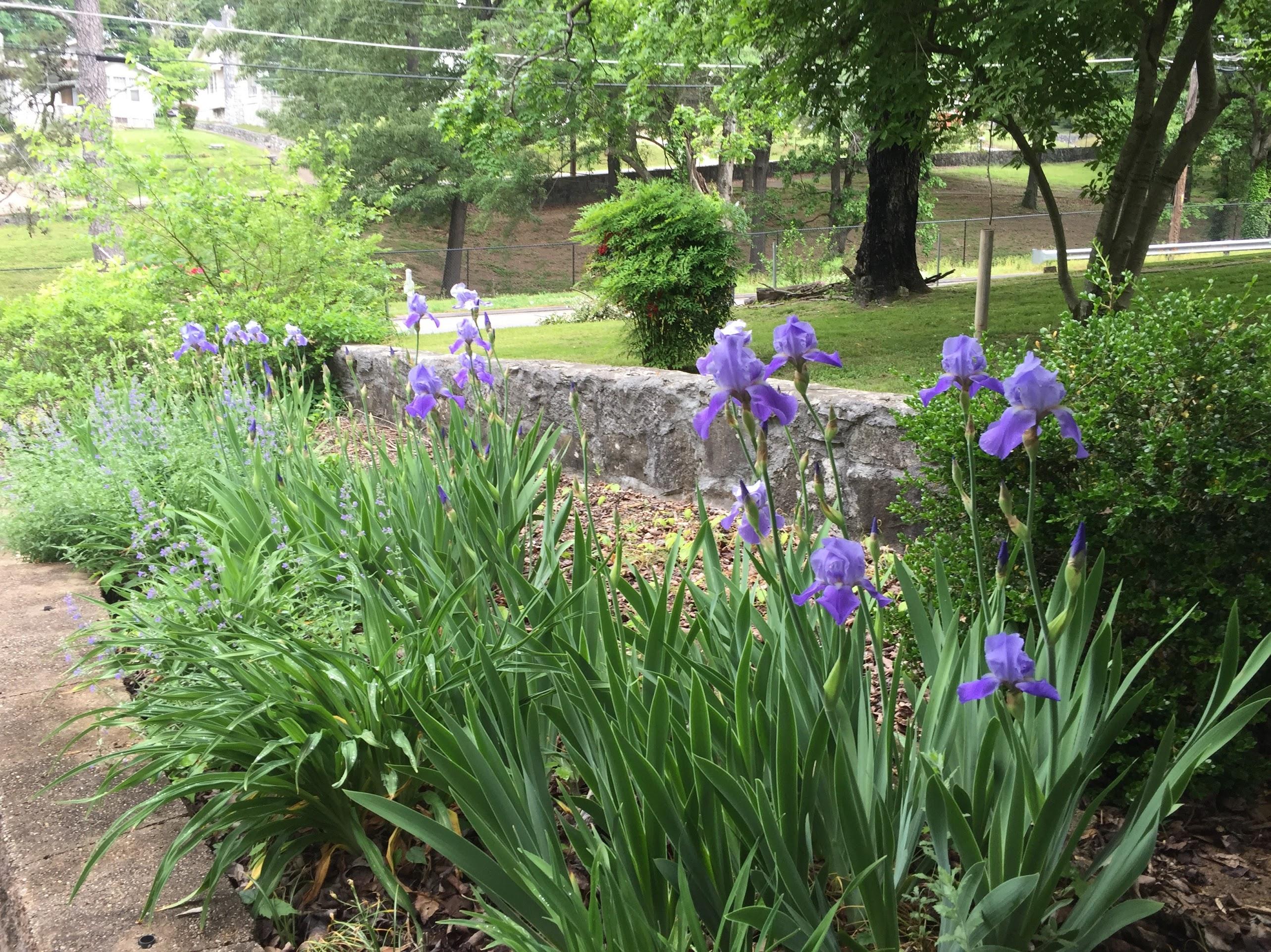 204 Gillespie Road Chattanooga, TN 37411 - Photo 31 of 36 IMG_0443