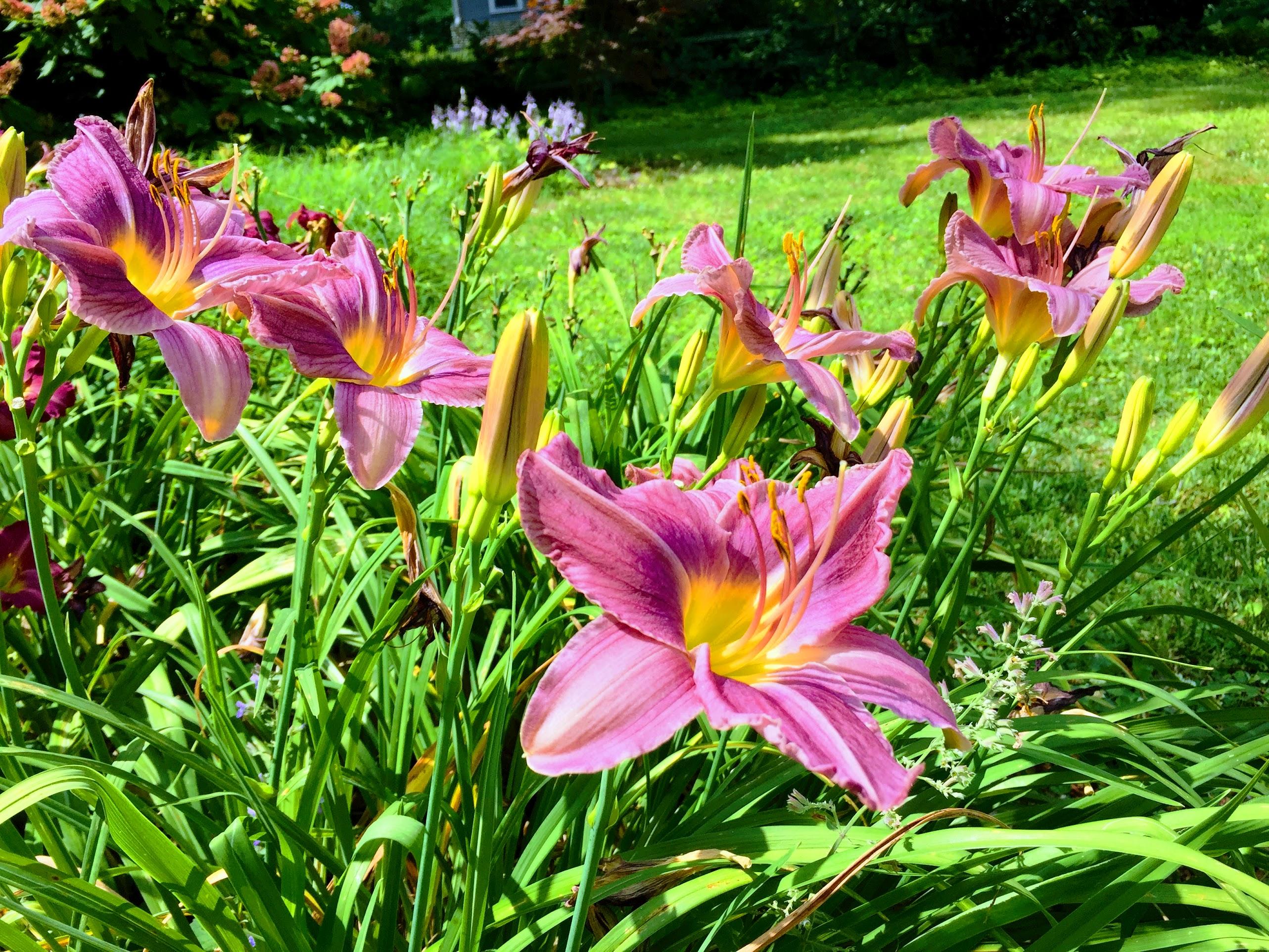 204 Gillespie Road Chattanooga, TN 37411 - Photo 35 of 36 IMG_1284-EFFECTS