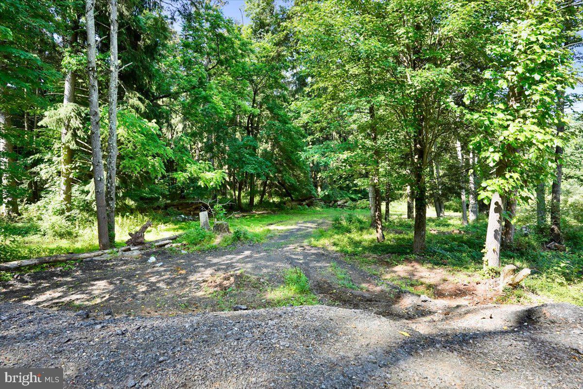 49 Nursery Road Titusville, NJ 08560 - Photo 22 of 51