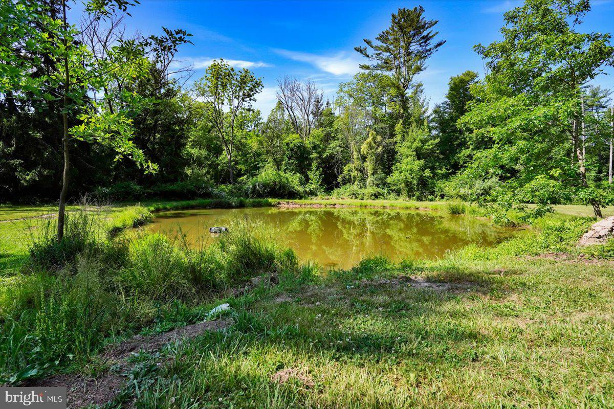 49 Nursery Road Titusville, NJ 08560 - Photo 27 of 51 Pond