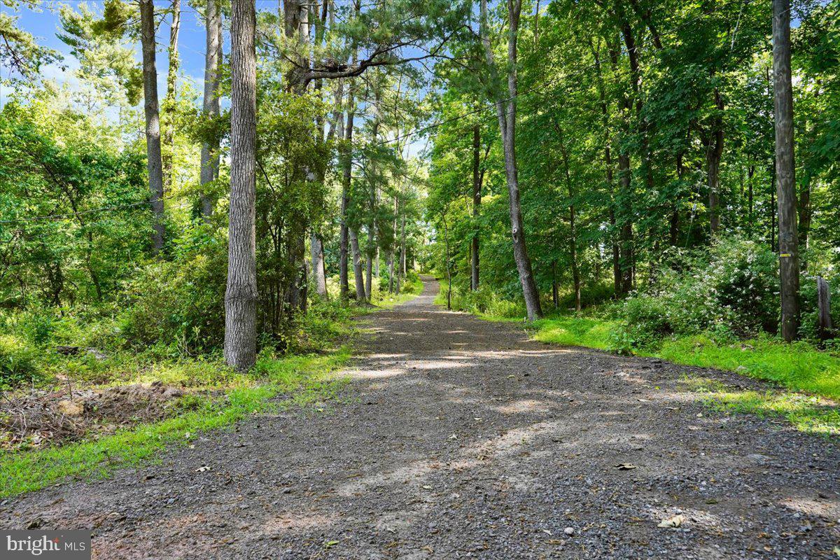 49 Nursery Road Titusville, NJ 08560 - Photo 34 of 51 Main drive