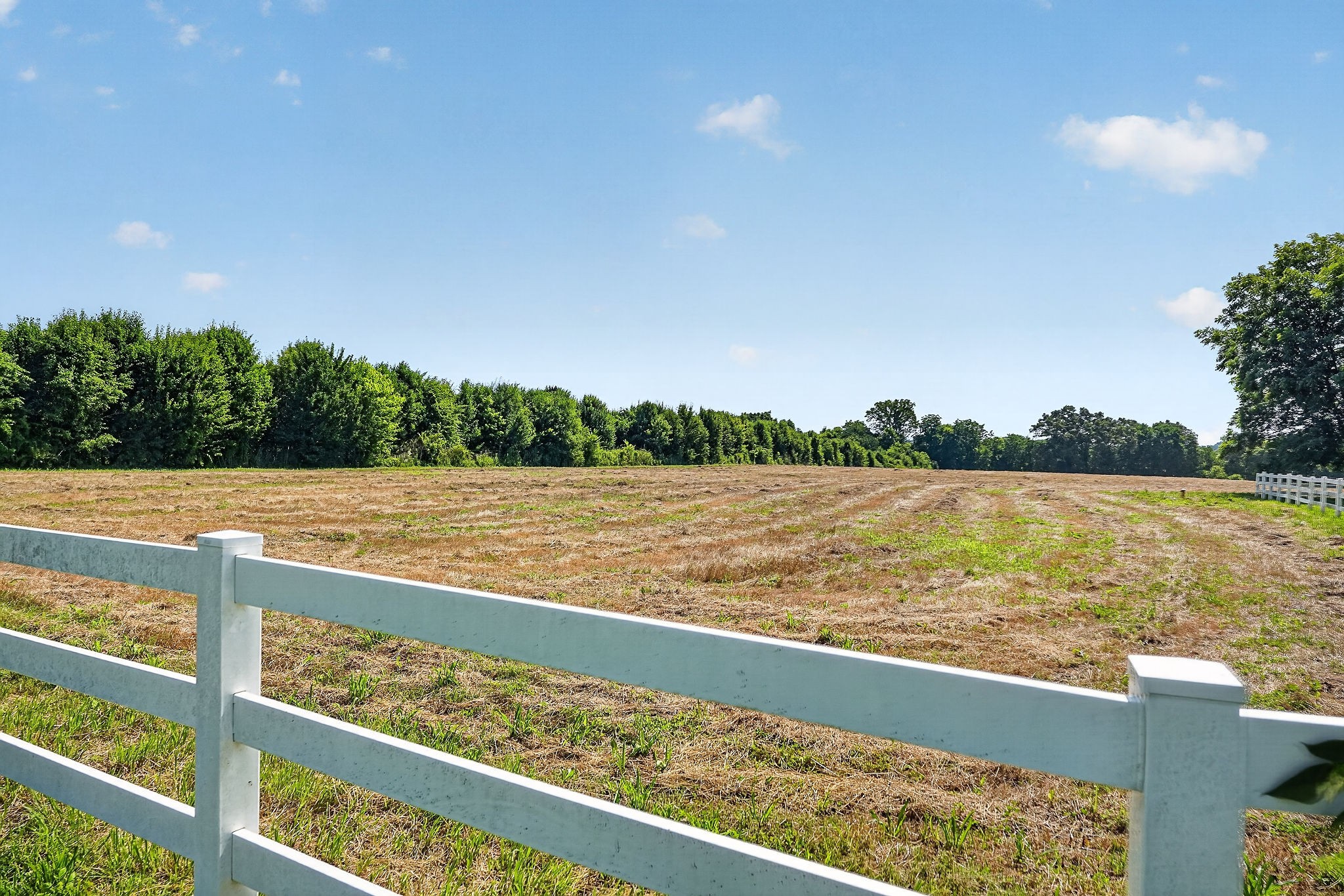 1600 Magness Road McMinnville, TN 37110 - Photo 7 of 63