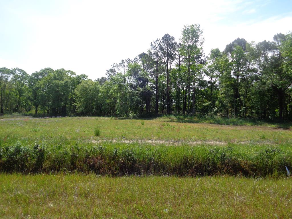 6789 Lot 1 Eddins Road Dothan, AL 36301 - Photo 1 of 1