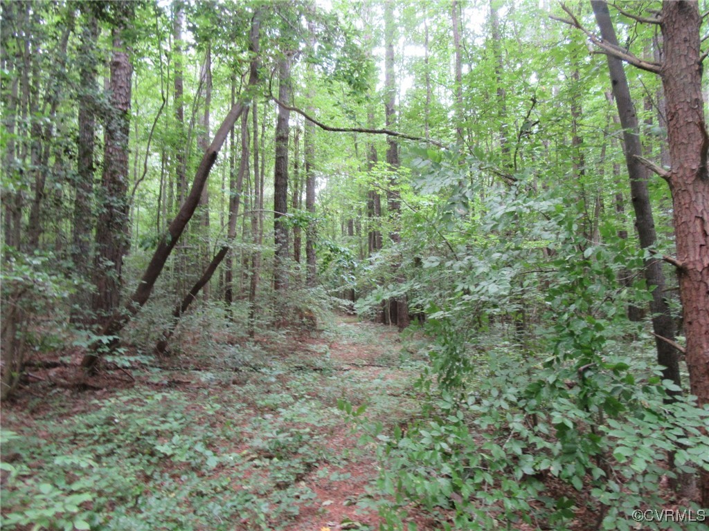 54-32 Scotts Road Dewitt, VA 23840 - Photo 17 of 25 a backyard of a house with lots of green space