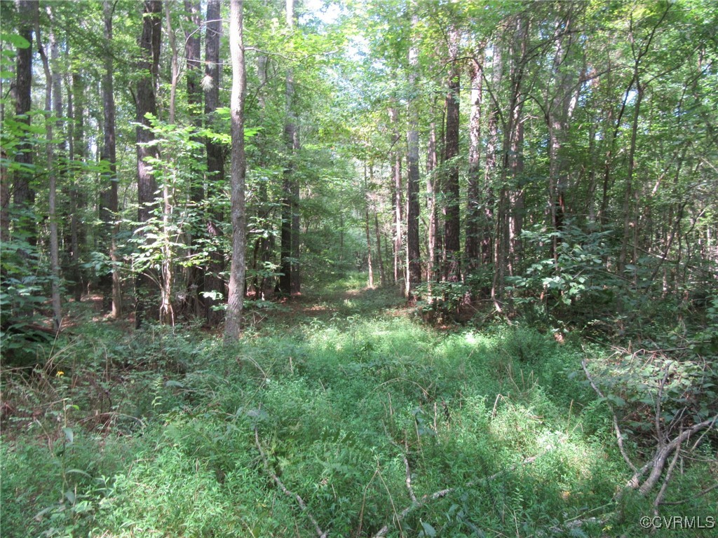 54-32 Scotts Road Dewitt, VA 23840 - Photo 19 of 25 a view of outdoor space and green space