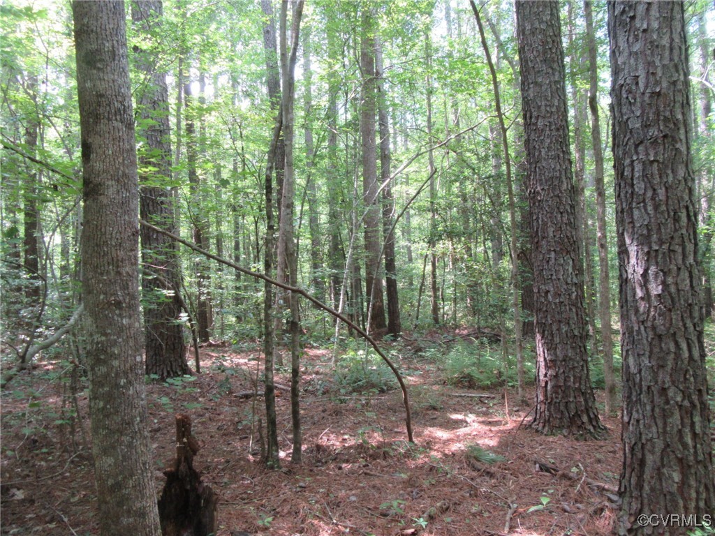 54-32 Scotts Road Dewitt, VA 23840 - Photo 21 of 25 a view of outdoor space and green space