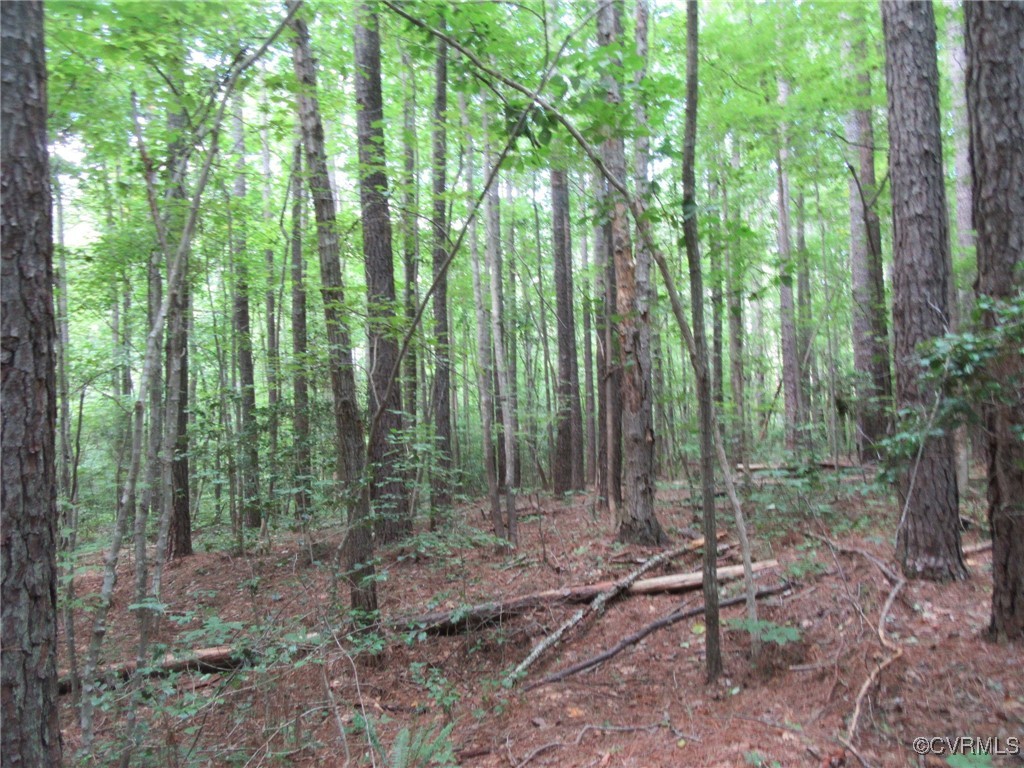 54-32 Scotts Road Dewitt, VA 23840 - Photo 23 of 25 a view of outdoor space and green space