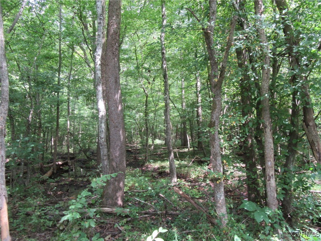 54-32 Scotts Road Dewitt, VA 23840 - Photo 3 of 25 a view of outdoor space and green space