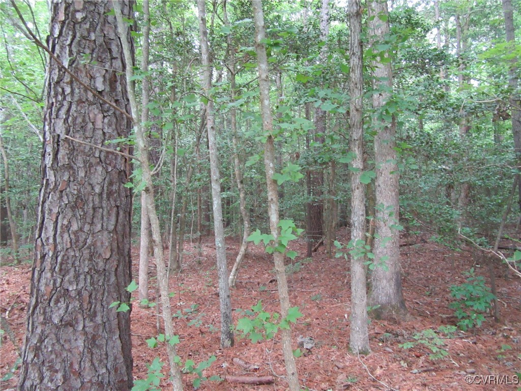 54-32 Scotts Road Dewitt, VA 23840 - Photo 6 of 25 a backyard of a house with lots of green space