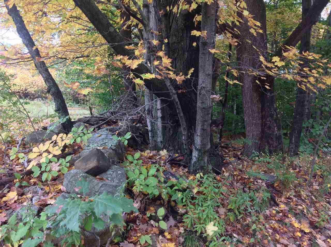 0 Maplewold Road Weare, NH 03281 - Photo 3 of 7