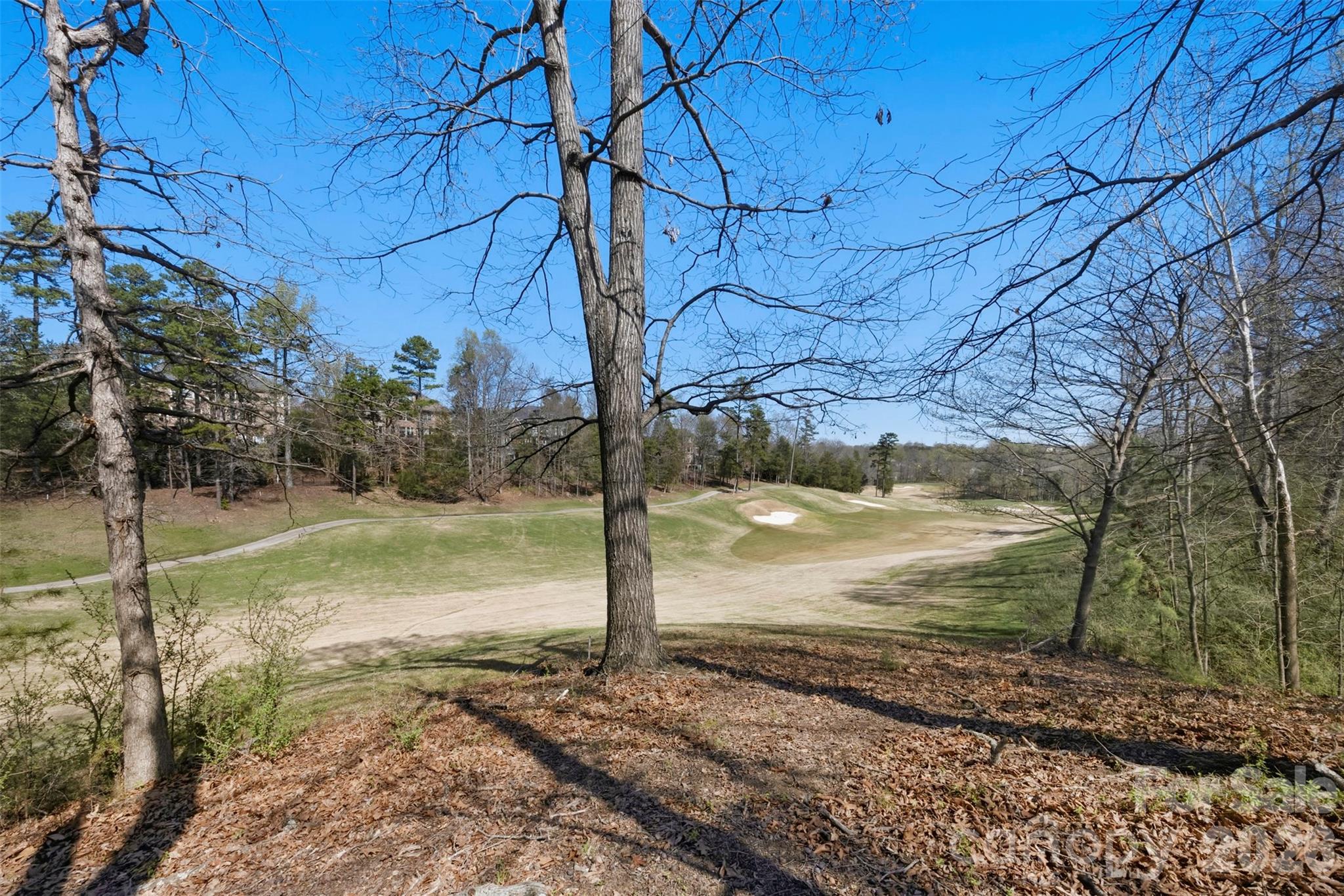 14127 Salem Ridge Road Huntersville, NC 28078 - Photo 39 of 48