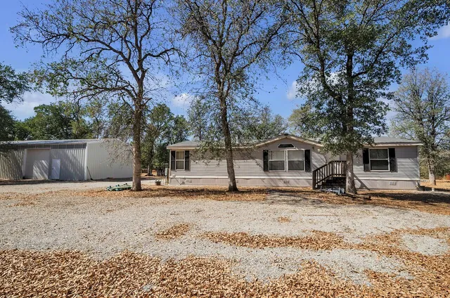 a house with a tree in front of it